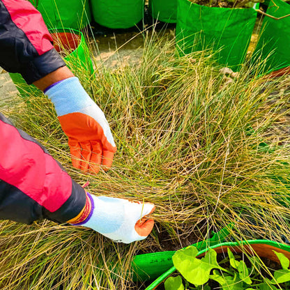 Gardening Gloves for Men and Women