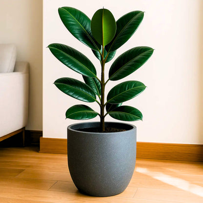 Roto Plastic Pot Decorative Grey Container with 10+ Years Durability | Lightweight, Unbreakable & Weatherproof Plant Pots | Premium Planter Indoor-Outdoor Garden, Balcony, & Living Room (Grey Marble, Pack of 1)