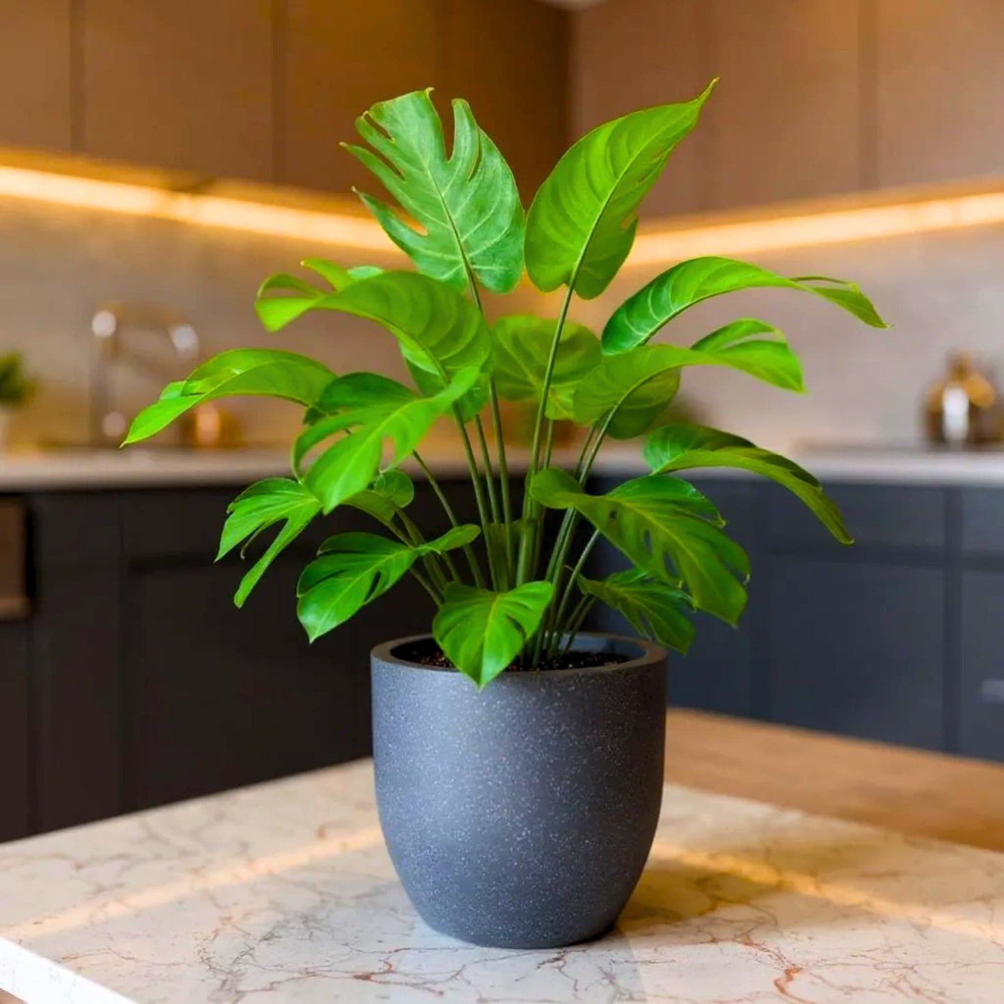 Roto Plastic Pot Decorative Grey Container with 10+ Years Durability | Lightweight, Unbreakable & Weatherproof Plant Pots | Premium Planter Indoor-Outdoor Garden, Balcony, & Living Room (Grey Marble, Pack of 1)