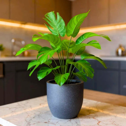 Roto Plastic Pot Decorative Grey Container with 10+ Years Durability | Lightweight, Unbreakable & Weatherproof Plant Pots | Premium Planter Indoor-Outdoor Garden, Balcony, & Living Room (Grey Marble, Pack of 1)