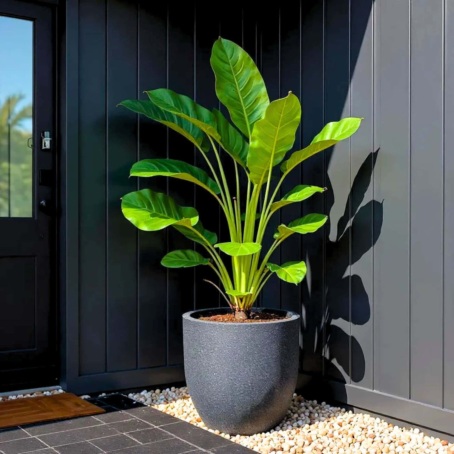 Roto Plastic Pot Decorative Grey Container with 10+ Years Durability | Lightweight, Unbreakable & Weatherproof Plant Pots | Premium Planter Indoor-Outdoor Garden, Balcony, & Living Room (Grey Marble, Pack of 1)