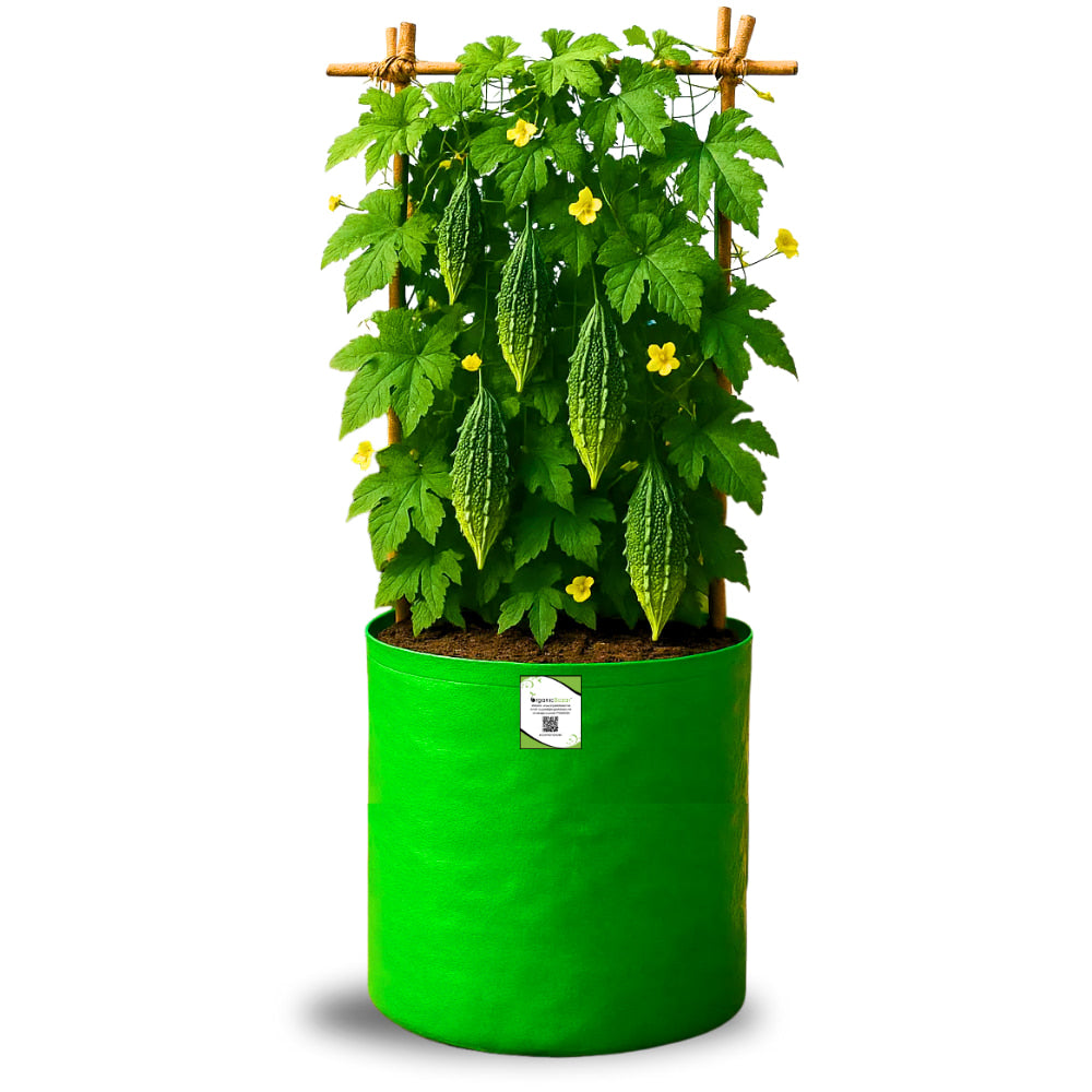 OrganicBazar 12x18 Grow Bag for Vegetables Garden, Premium HDPE 260 GSM, Green Plant Bags for Terrace Garden