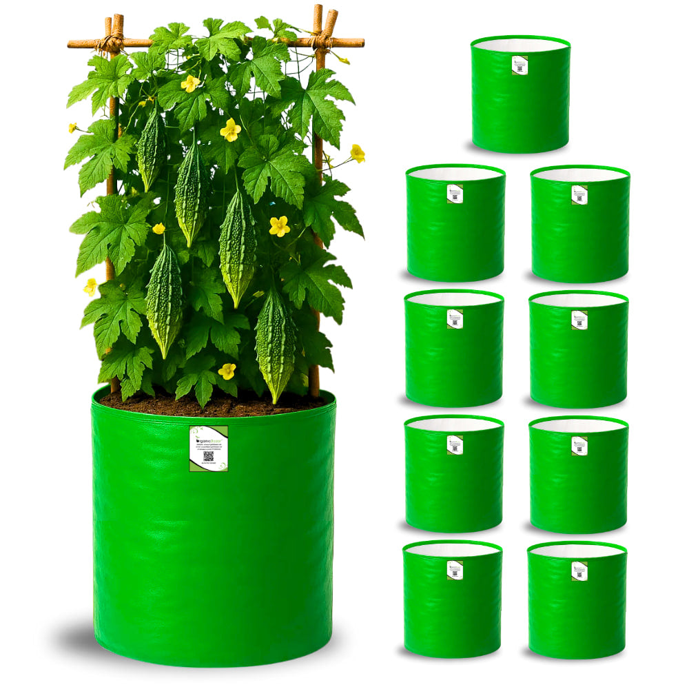 OrganicBazar 12x18 Grow Bag for Vegetables Garden, Premium HDPE 260 GSM, Green Plant Bags for Terrace Garden