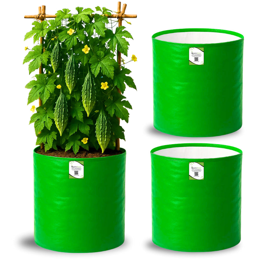OrganicBazar 12x18 Grow Bag for Vegetables Garden, Premium HDPE 260 GSM, Green Plant Bags for Terrace Garden