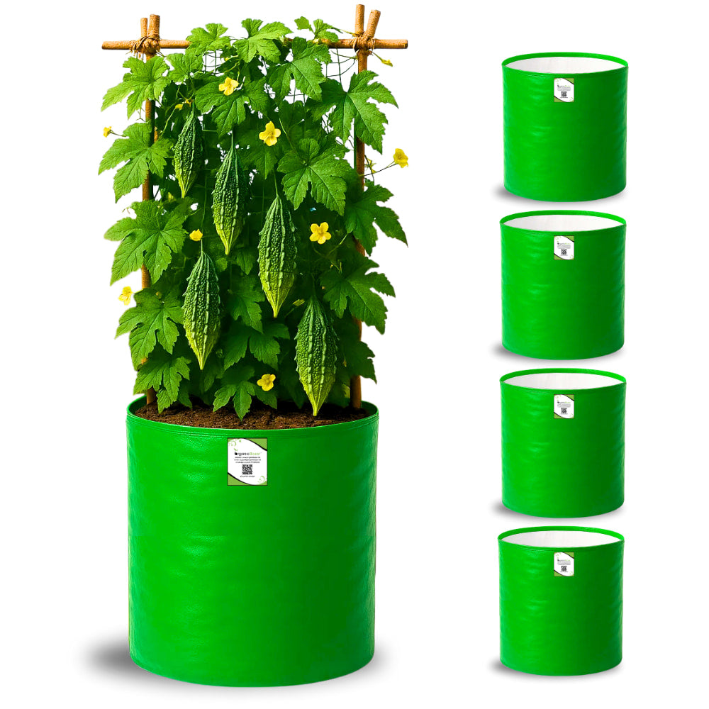OrganicBazar 12x18 Grow Bag for Vegetables Garden, Premium HDPE 260 GSM, Green Plant Bags for Terrace Garden