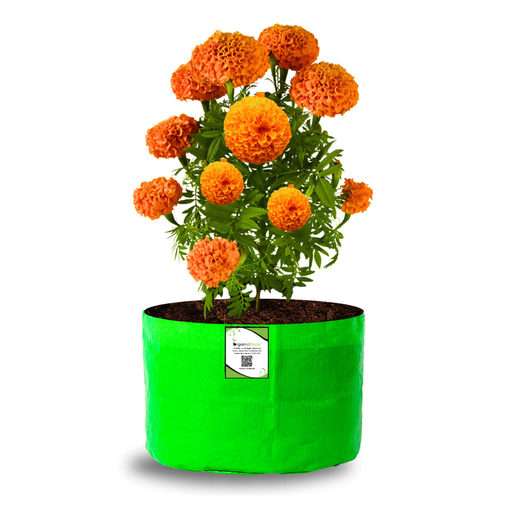 OrganicBazar 12x9 Grow Bag for Vegetable Garden, Premium HDPE 260 GSM Green Plant Bags for Terrace Garden