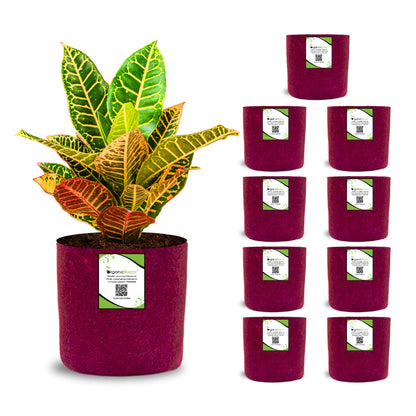 OrganicBazar 6x6 Small Size Grow Bags for Terrace Gardening, Premium Quality Geo Fabric 450 GSM Planters for Small Plants