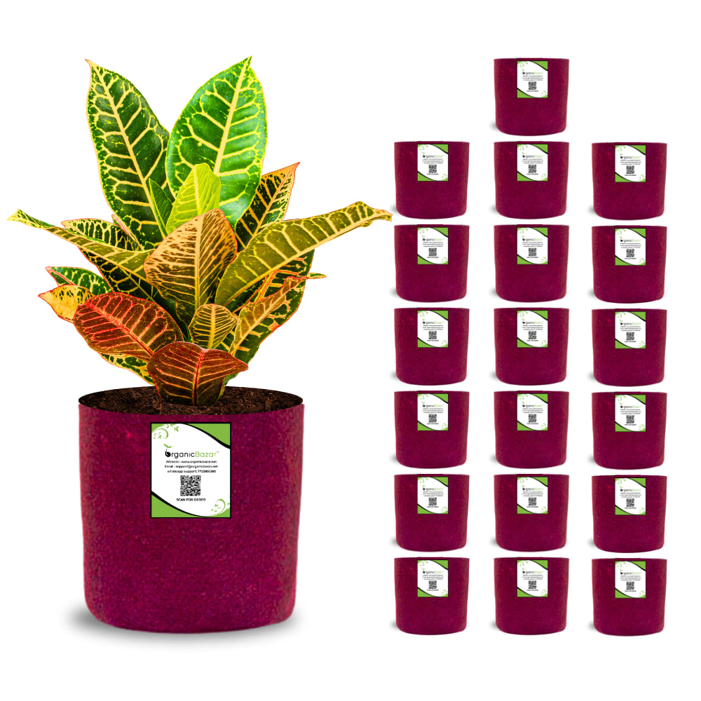 OrganicBazar 6x6 Small Size Grow Bags for Terrace Gardening, Premium Quality Geo Fabric 450 GSM Planters for Small Plants