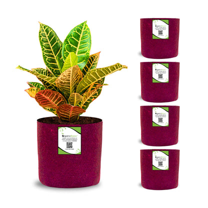 OrganicBazar 6x6 Small Size Grow Bags for Terrace Gardening, Premium Quality Geo Fabric 450 GSM Planters for Small Plants