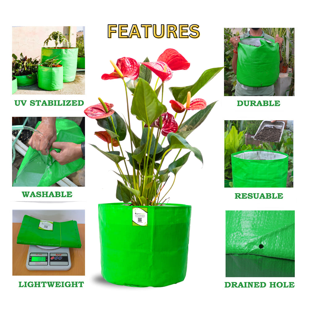 OrganicBazar 6x6 Small Size Grow Bag for Home Gardening, Premium HDPE 260 GSM, Green Plant Bags