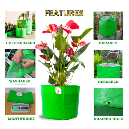 OrganicBazar 6x6 Small Size Grow Bag for Home Gardening, Premium HDPE 260 GSM, Green Plant Bags