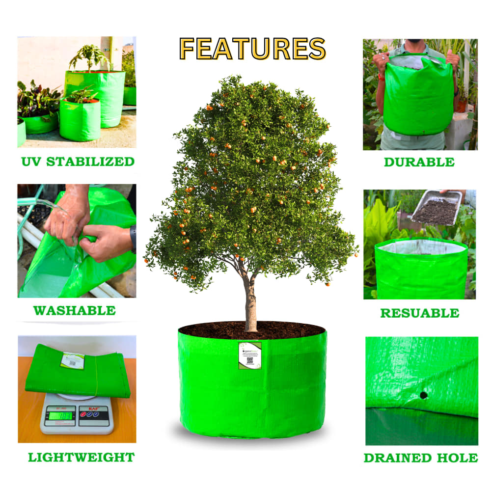 HDPE 24x18 Grow Bags for Terrace Gardening Extra Thick Premium Quality Grow Bags
