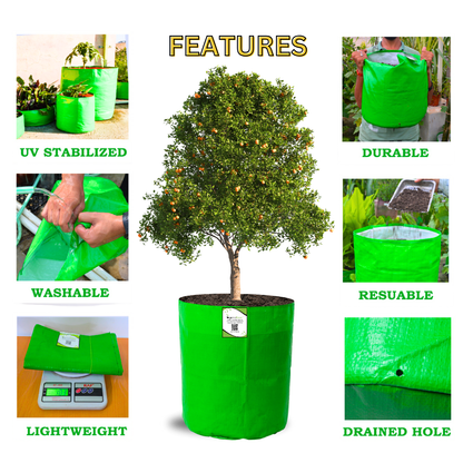 OrganicBazar 12x18 Grow Bag for Vegetables Garden, Premium HDPE 260 GSM, Green Plant Bags for Terrace Garden