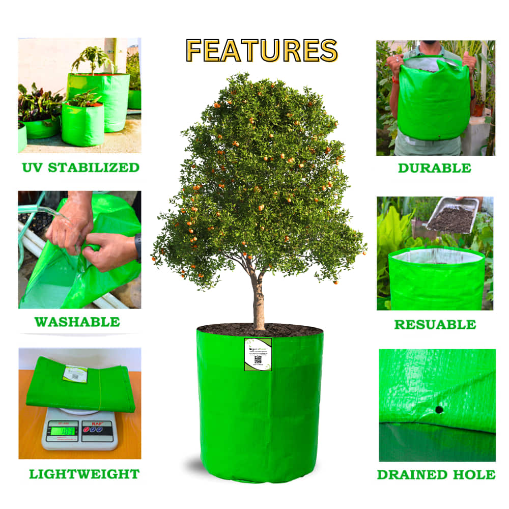 OrganicBazar 18X24 Tree Grow Bag for Home Gardening, Premium HDPE 260 GSM Green Big Plant Bags