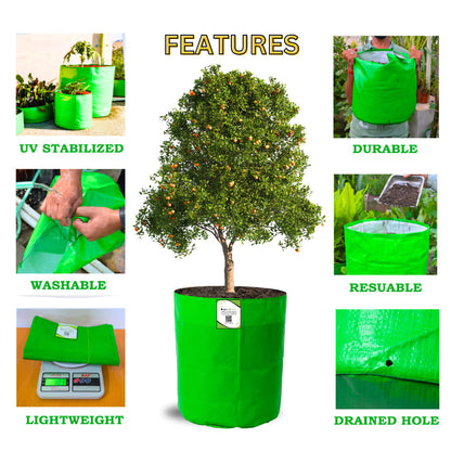 OrganicBazar 18X24 Tree Grow Bag for Home Gardening, Premium HDPE 260 GSM Green Big Plant Bags
