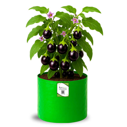 OrganicBazar HDPE 10×10 Cylindrical Grow Bag – 260 GSM | UV-Stabilized Round Grow Bag for Vegetables & Flowers
