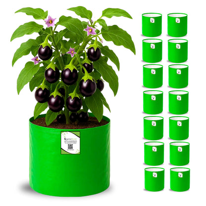 OrganicBazar HDPE 10×10 Cylindrical Grow Bag – 260 GSM | UV-Stabilized Round Grow Bag for Vegetables & Flowers