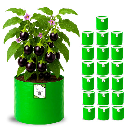 OrganicBazar HDPE 10×10 Cylindrical Grow Bag – 260 GSM | UV-Stabilized Round Grow Bag for Vegetables & Flowers