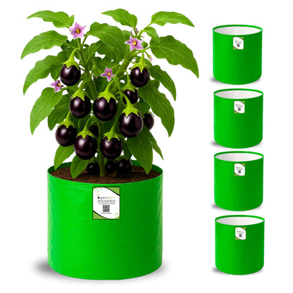 OrganicBazar HDPE 10×10 Cylindrical Grow Bag – 260 GSM | UV-Stabilized Round Grow Bag for Vegetables & Flowers