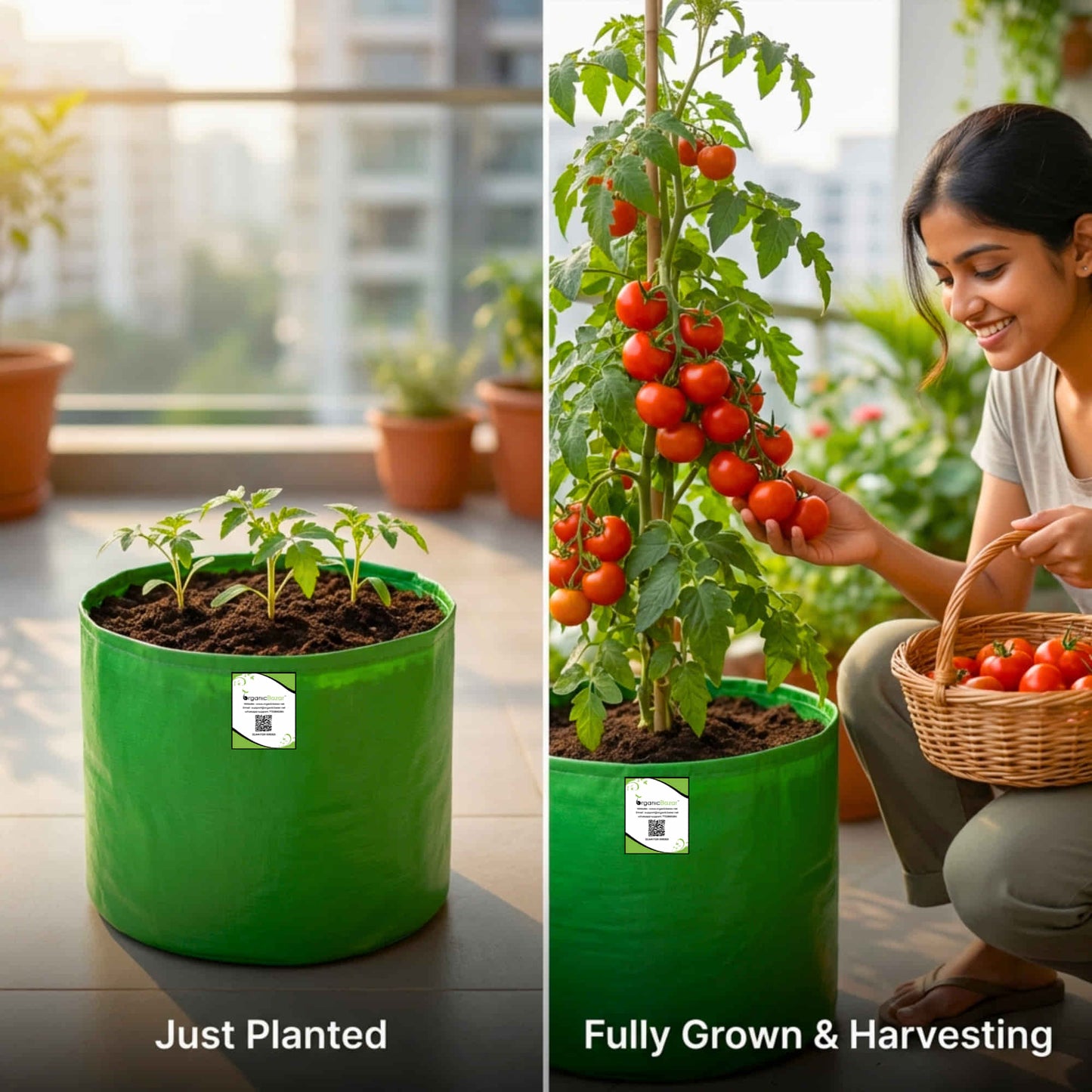 OrganicBazar 12×12 HDPE Round Grow Bag – Premium Quality, Heavy-Duty, UV-Stabilized (260 GSM) Green Plant Bags