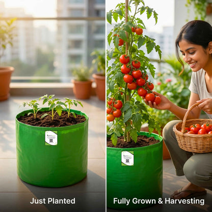 OrganicBazar 12×12 HDPE Round Grow Bag – Premium Quality, Heavy-Duty, UV-Stabilized (260 GSM) Green Plant Bags