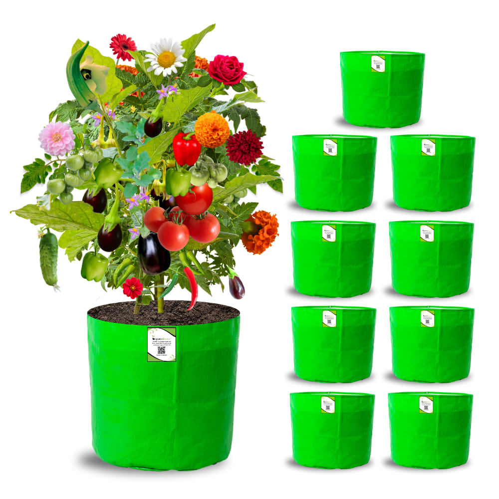 Buy Premium Quality Grow Bags Online for Home Garden - OrganicBazar