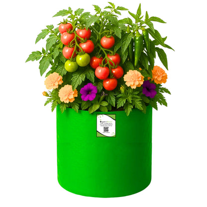 OrganicBazar 12×12 HDPE Round Grow Bag – Premium Quality, Heavy-Duty, UV-Stabilized (260 GSM) Green Plant Bags