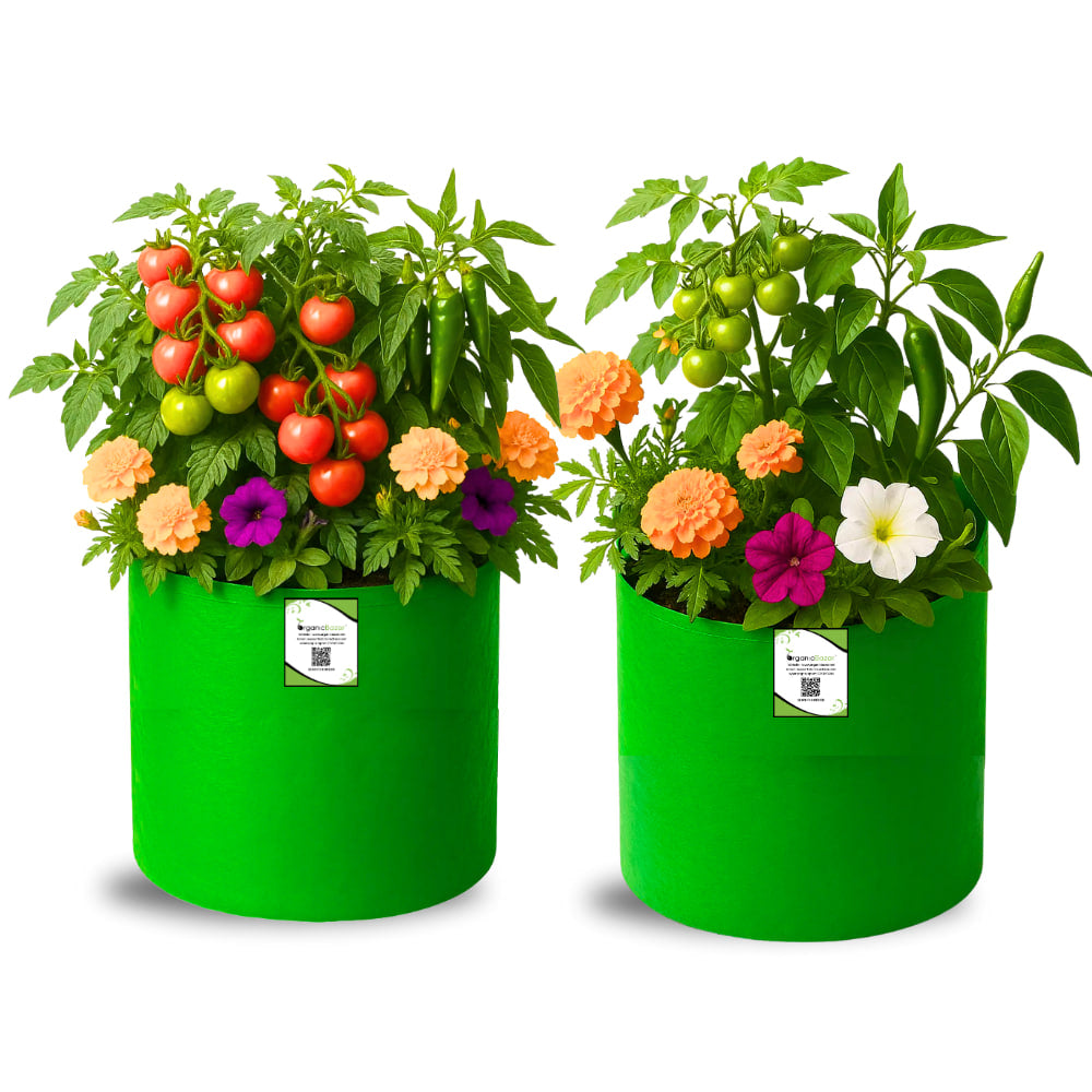 OrganicBazar 12×12 HDPE Round Grow Bag – Premium Quality, Heavy-Duty, UV-Stabilized (260 GSM) Green Plant Bags