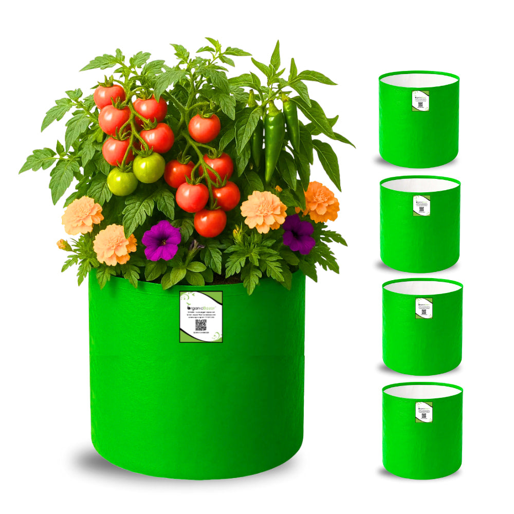 OrganicBazar 12×12 HDPE Round Grow Bag – Premium Quality, Heavy-Duty, UV-Stabilized (260 GSM) Green Plant Bags