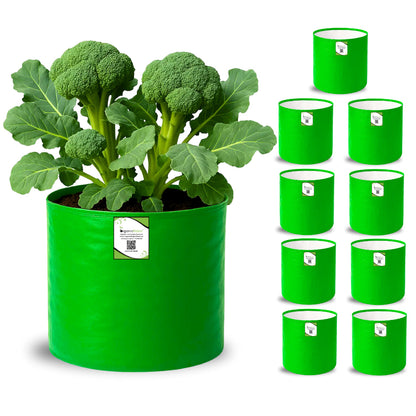 OrganicBazar 12x15 Grow Bag for Vegetable Garden, Premium HDPE 260 GSM, Green Plant Bags