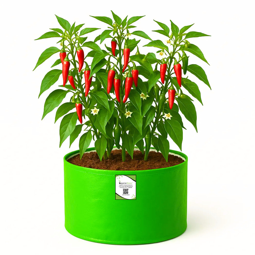 OrganicBazar 12x9 Grow Bag for Vegetable Garden, Premium HDPE 260 GSM Green Plant Bags for Terrace Garden