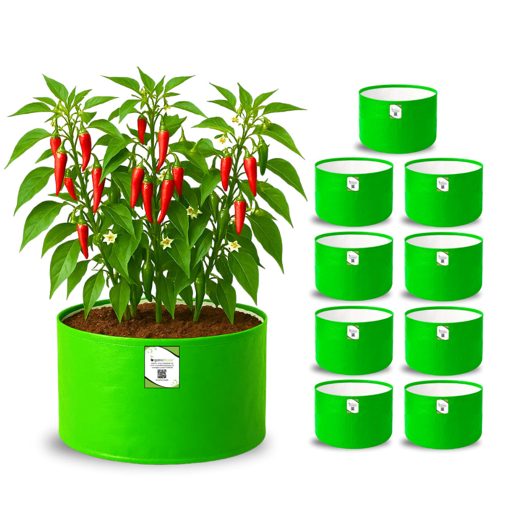 OrganicBazar 12x9 Grow Bag for Vegetable Garden, Premium HDPE 260 GSM Green Plant Bags for Terrace Garden