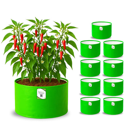 OrganicBazar 12x9 Grow Bag for Vegetable Garden, Premium HDPE 260 GSM Green Plant Bags for Terrace Garden