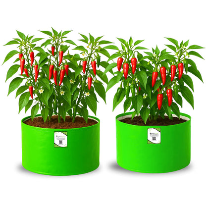 OrganicBazar 12x9 Grow Bag for Vegetable Garden, Premium HDPE 260 GSM Green Plant Bags for Terrace Garden