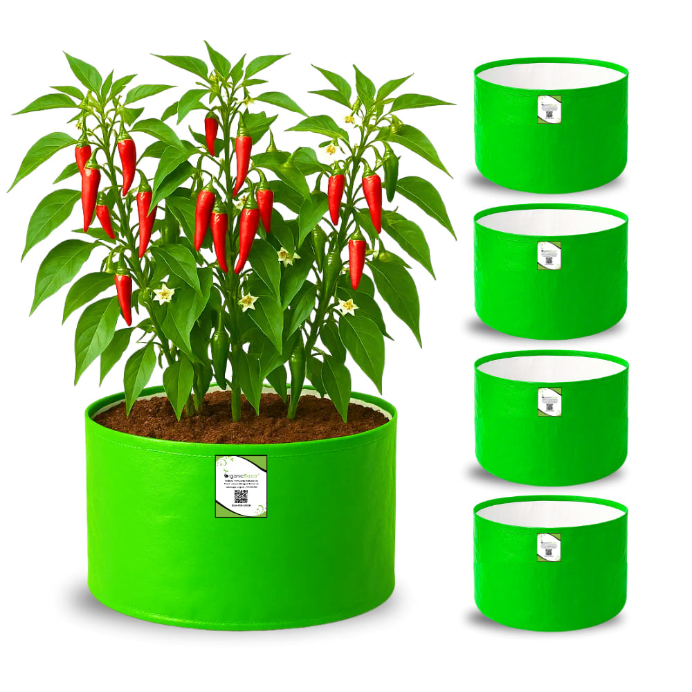 OrganicBazar 12x9 Grow Bag for Vegetable Garden, Premium HDPE 260 GSM Green Plant Bags for Terrace Garden