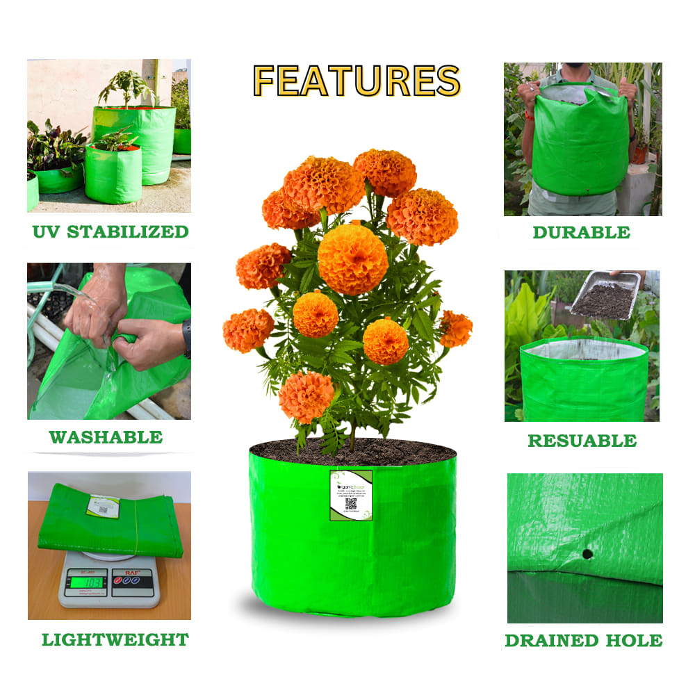 OrganicBazar 15x12 Grow Bag for Vegetable Garden, Premium HDPE 260 GSM Green Plant Bags for Terrace Gardening
