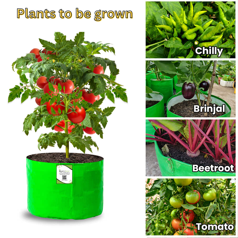 OrganicBazar 15x12 Grow Bag for Vegetable Garden, Premium HDPE 260 GSM Green Plant Bags for Terrace Gardening