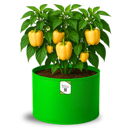 OrganicBazar 15x12 Grow Bag for Vegetable Garden, Premium HDPE 260 GSM Green Plant Bags for Terrace Gardening