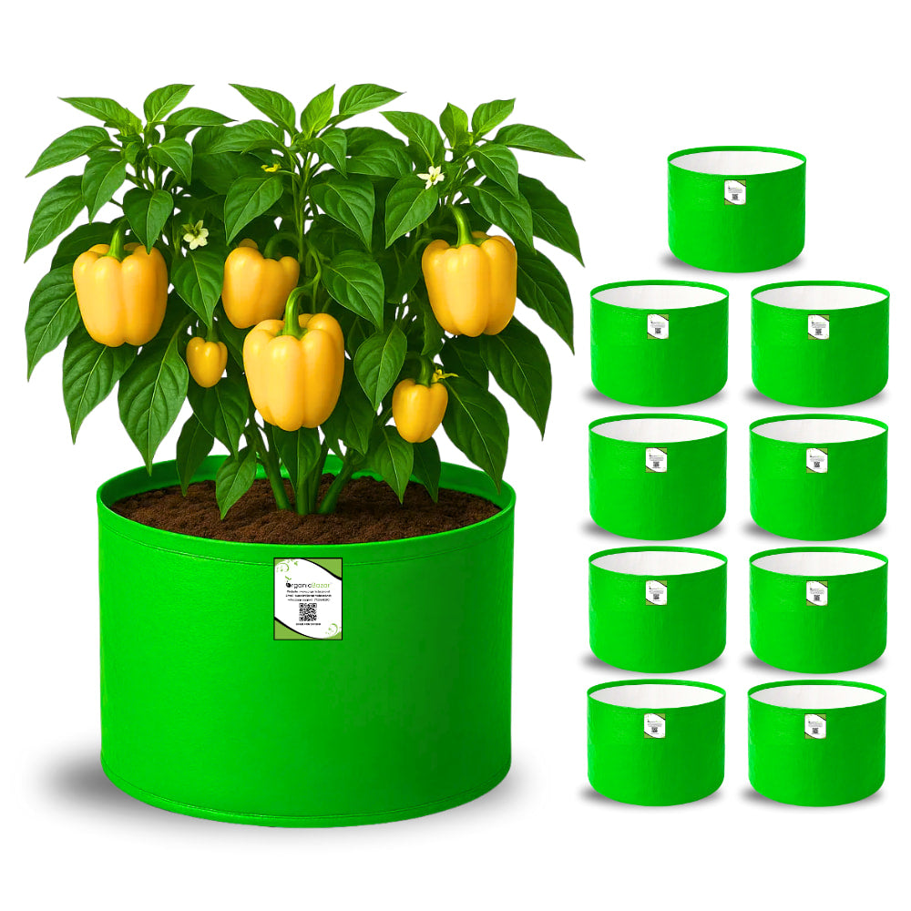 OrganicBazar 15x12 Grow Bag for Vegetable Garden, Premium HDPE 260 GSM Green Plant Bags for Terrace Gardening