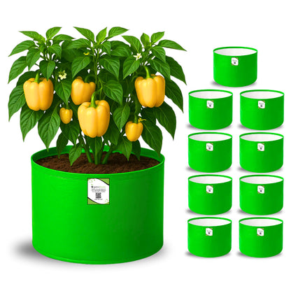 OrganicBazar 15x12 Grow Bag for Vegetable Garden, Premium HDPE 260 GSM Green Plant Bags for Terrace Gardening