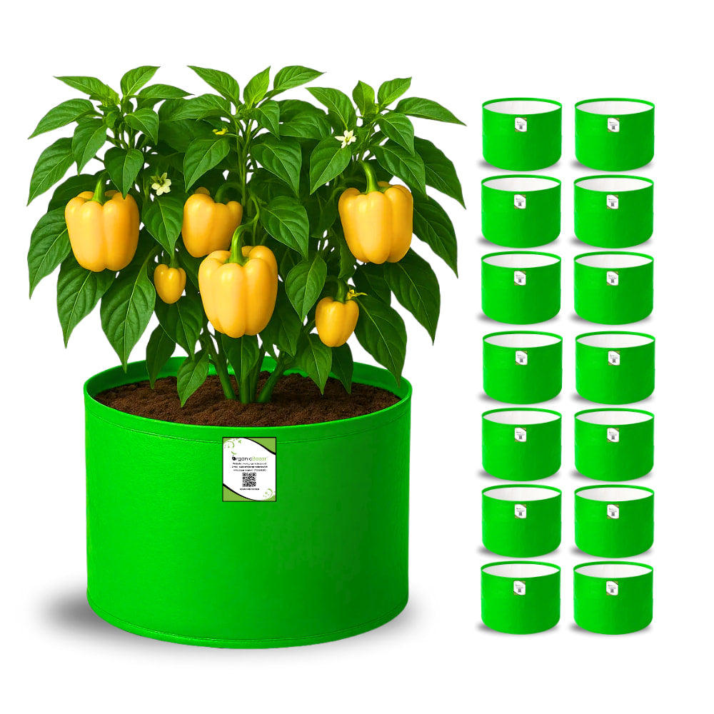 OrganicBazar 15x12 Grow Bag for Vegetable Garden, Premium HDPE 260 GSM Green Plant Bags for Terrace Gardening