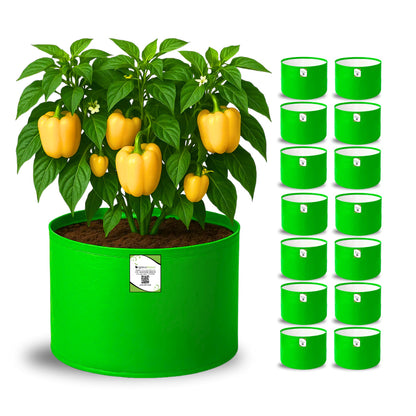 OrganicBazar 15x12 Grow Bag for Vegetable Garden, Premium HDPE 260 GSM Green Plant Bags for Terrace Gardening