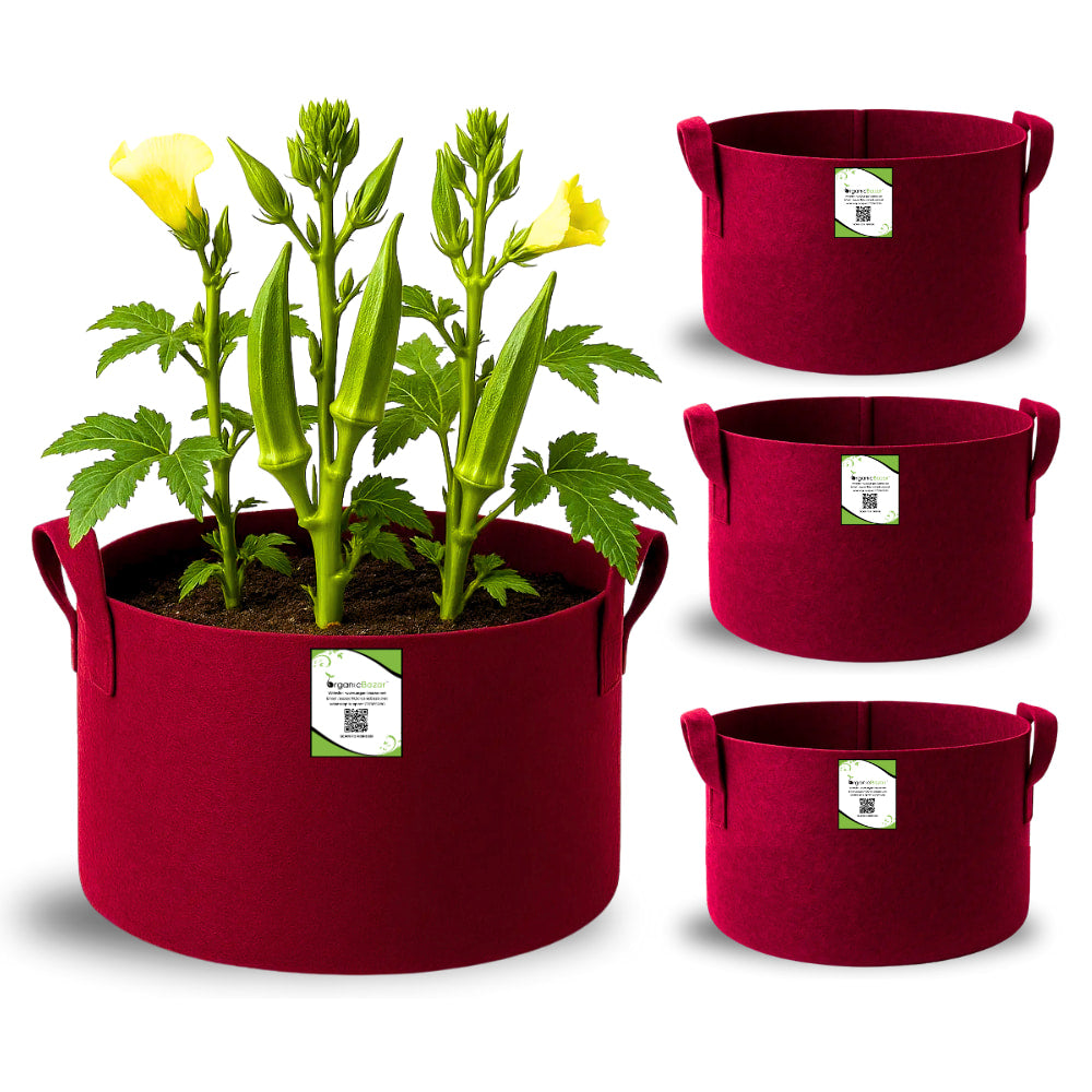 OrganicBazar 15X12 Geo Fabric Grow Bags for Terrace Garden