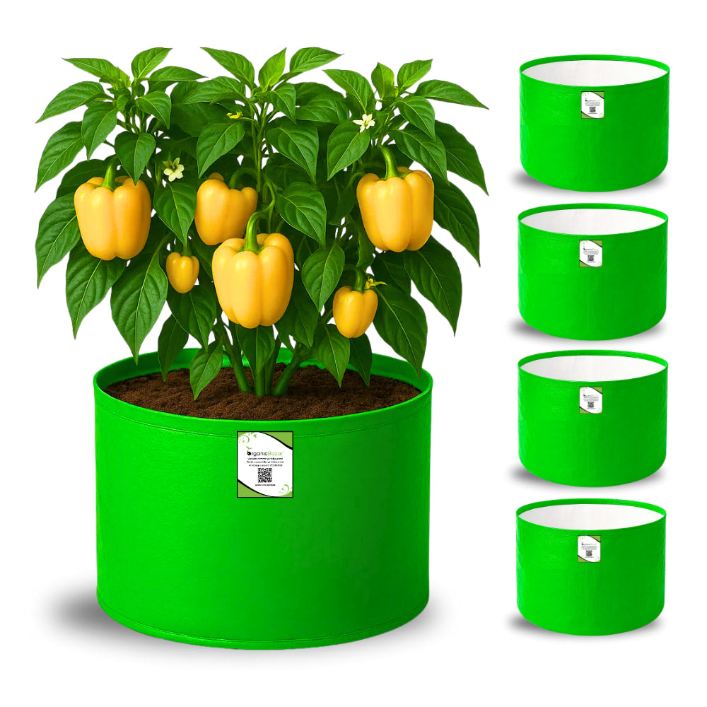 OrganicBazar 15x12 Grow Bag for Vegetable Garden, Premium HDPE 260 GSM Green Plant Bags for Terrace Gardening
