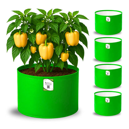 OrganicBazar 15x12 Grow Bag for Vegetable Garden, Premium HDPE 260 GSM Green Plant Bags for Terrace Gardening