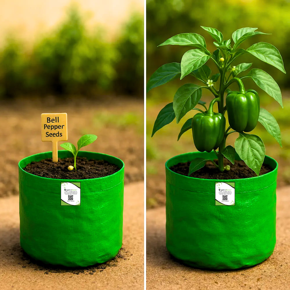 OrganicBazar 15x15 Grow Bag for Vegetable Gardening, Premium HDPE 260 GSM, Green Plant Bags for Terrace Garden