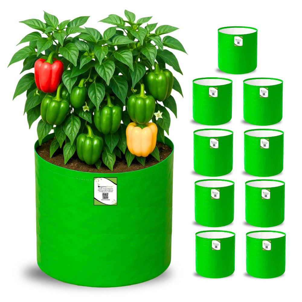 OrganicBazar 15x15 Grow Bag for Vegetable Gardening, Premium HDPE 260 GSM, Green Plant Bags for Terrace Garden