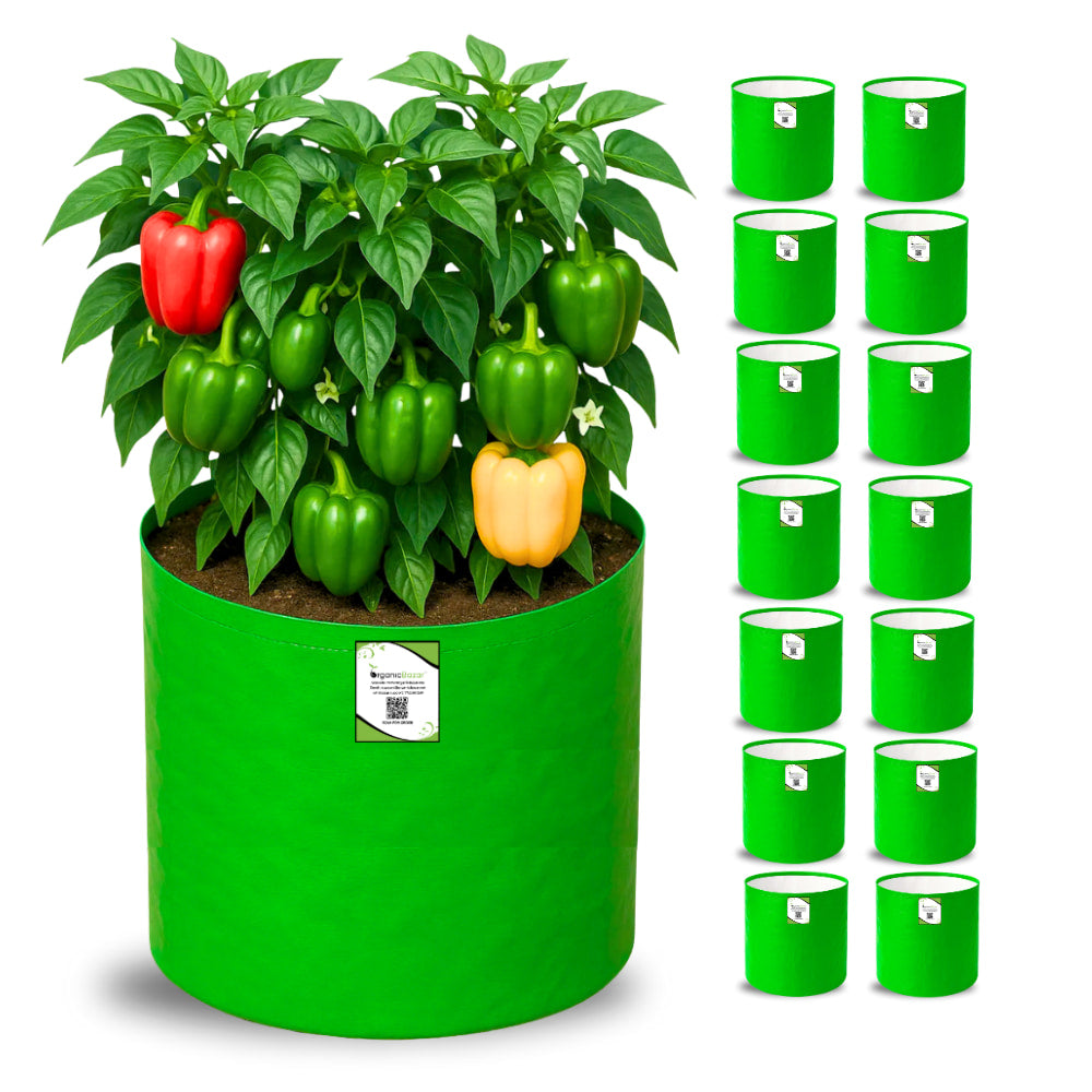 OrganicBazar 15x15 Grow Bag for Vegetable Gardening, Premium HDPE 260 GSM, Green Plant Bags for Terrace Garden