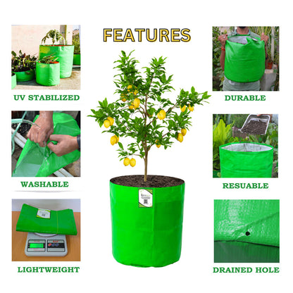 OrganicBazar 15x18 Big Grow Bag for Terrace Garden, Premium HDPE 260 GSM Green Plant Bags
