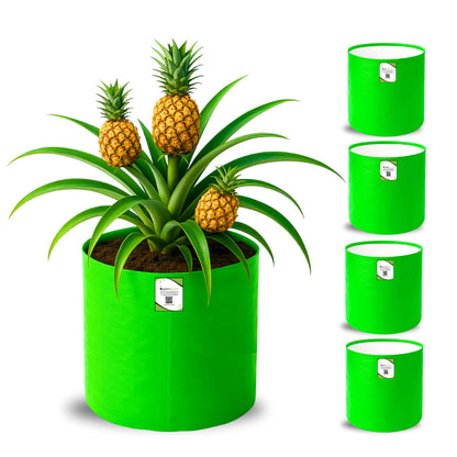 OrganicBazar 15x18 Big Grow Bag for Terrace Garden, Premium HDPE 260 GSM Green Plant Bags